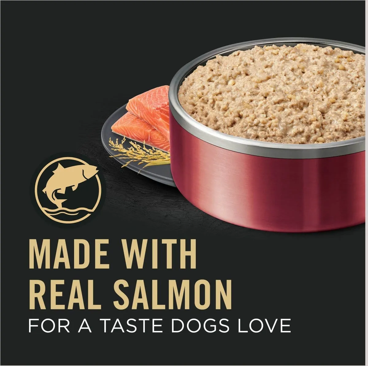 Purina Pro Plan Sensitive Skin & Stomach Salmon & Rice Entrée Canned Dog Food