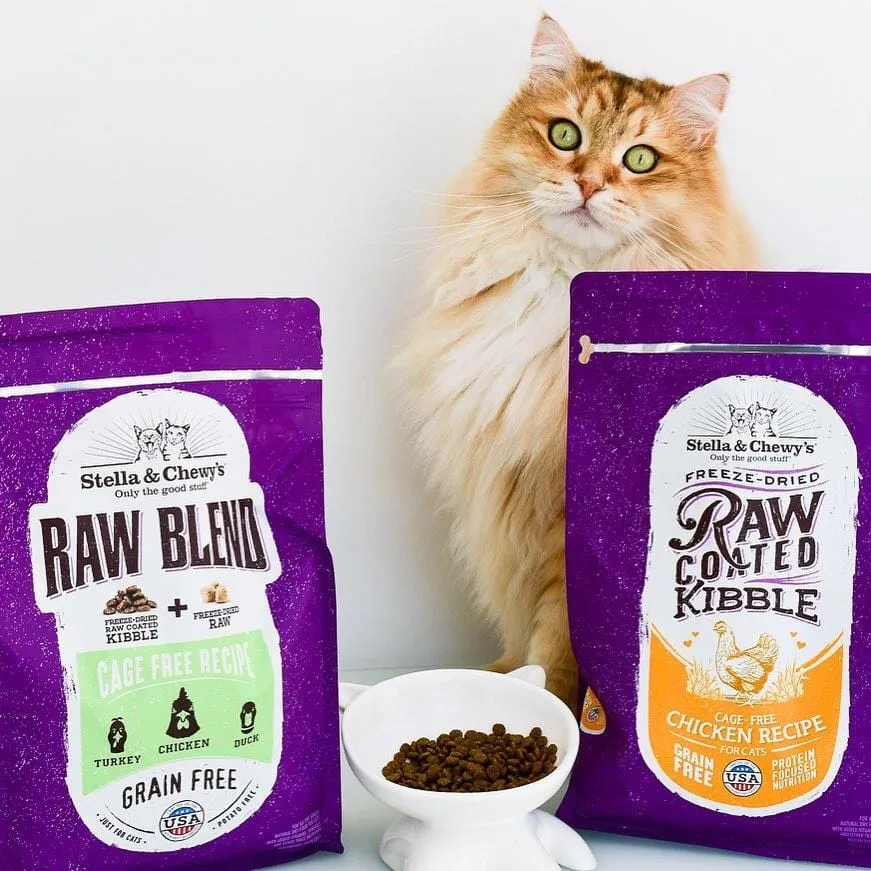 Stella & Chewy's Raw Coated Kibble Cage Free Chicken Recipe Dry Cat Food