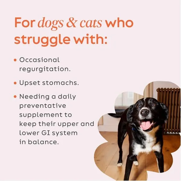 Super Snouts GI Balance Powder Supplement for Dogs and Cats