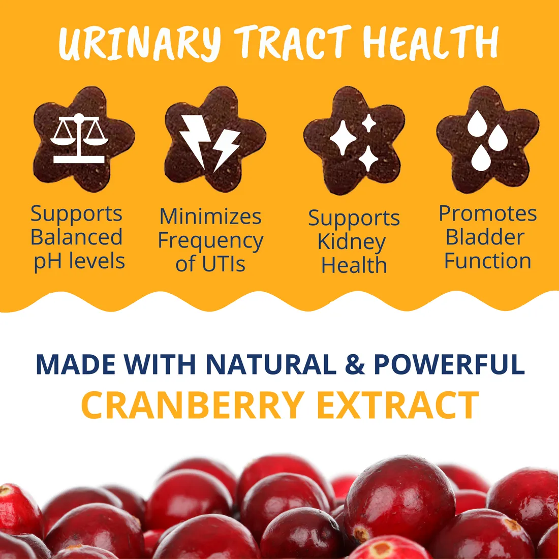 Under the Weather Urinary Support Soft Chews Supplement for Cats