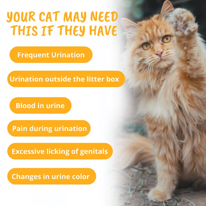 Under the Weather Urinary Support Soft Chews Supplement for Cats