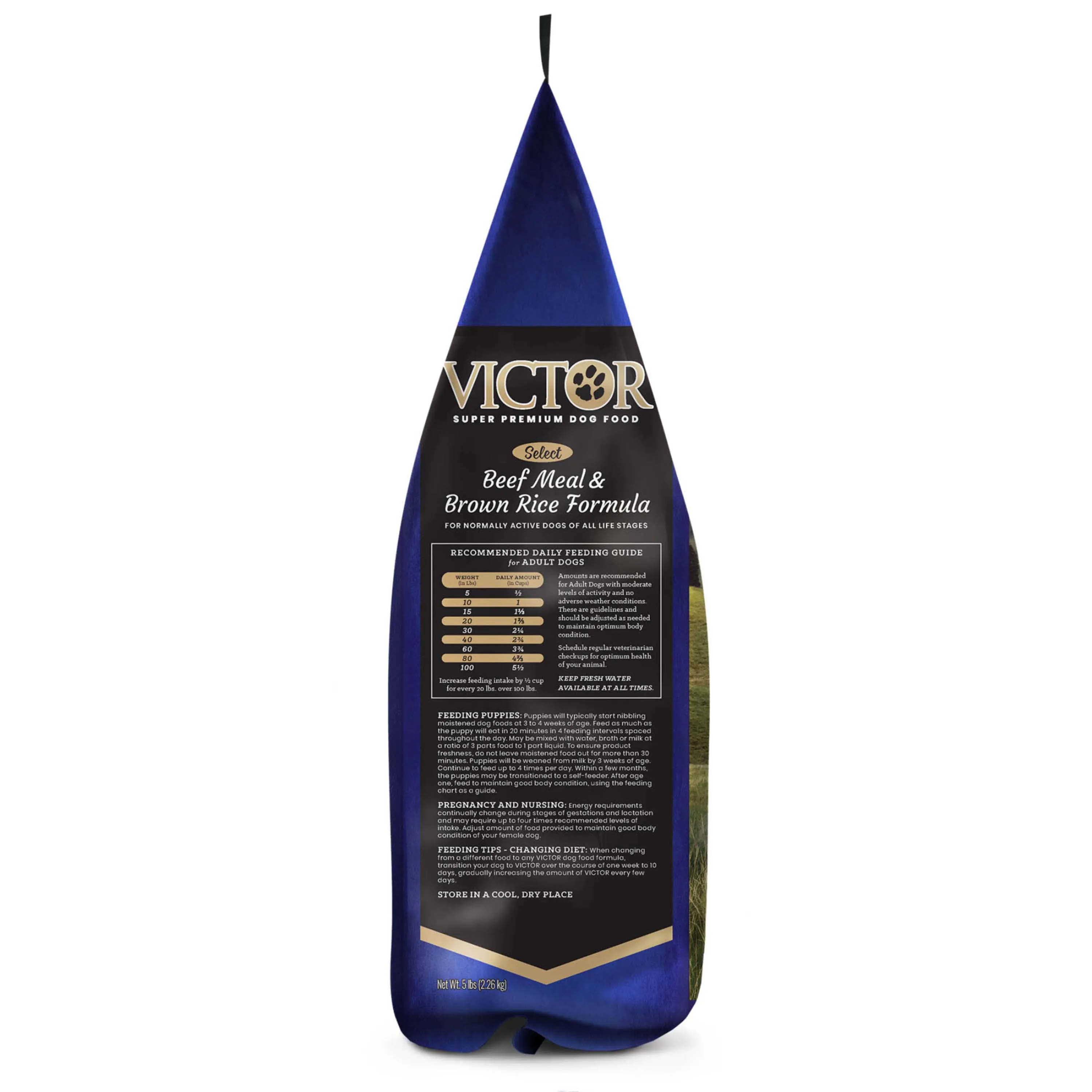 Victor Beef Meal & Rice Dry Dog Food, 5lb