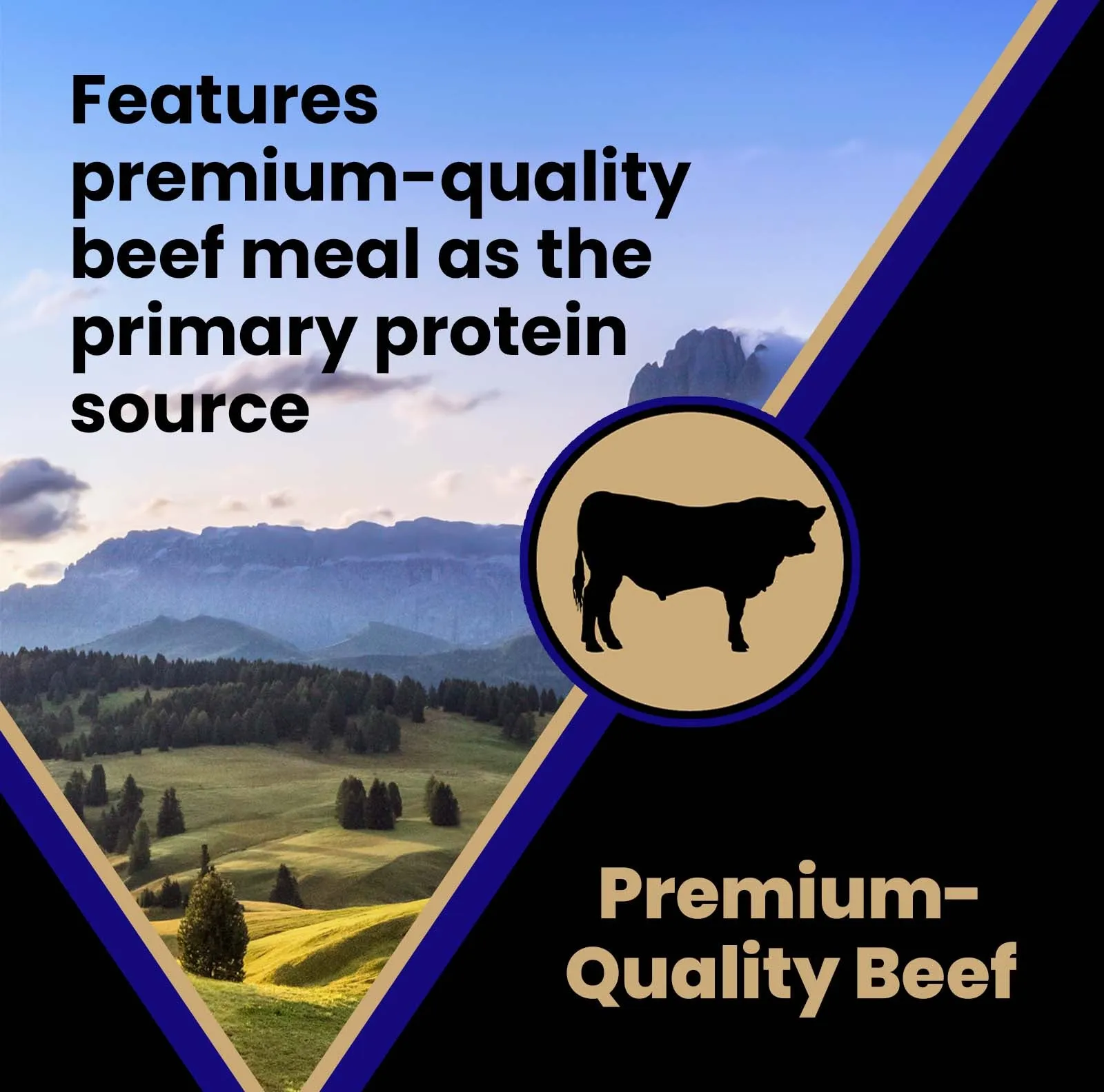 Victor Beef Meal & Rice Dry Dog Food, 5lb