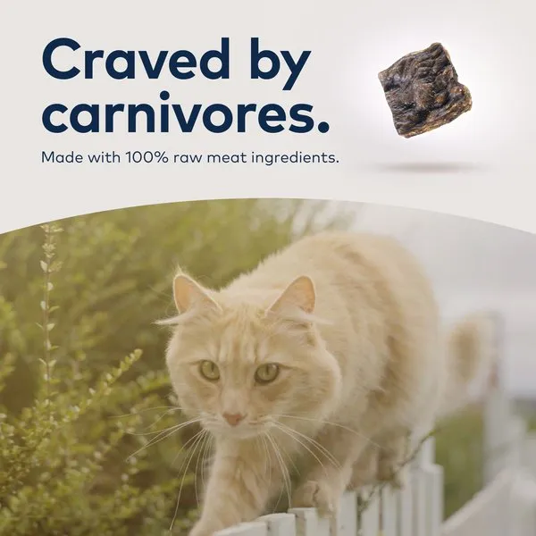 ZIWI Peak Air-Dried Beef Recipe For Cats