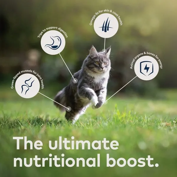 ZIWI Peak Grain Free Beef Recipe Canned Cat Food