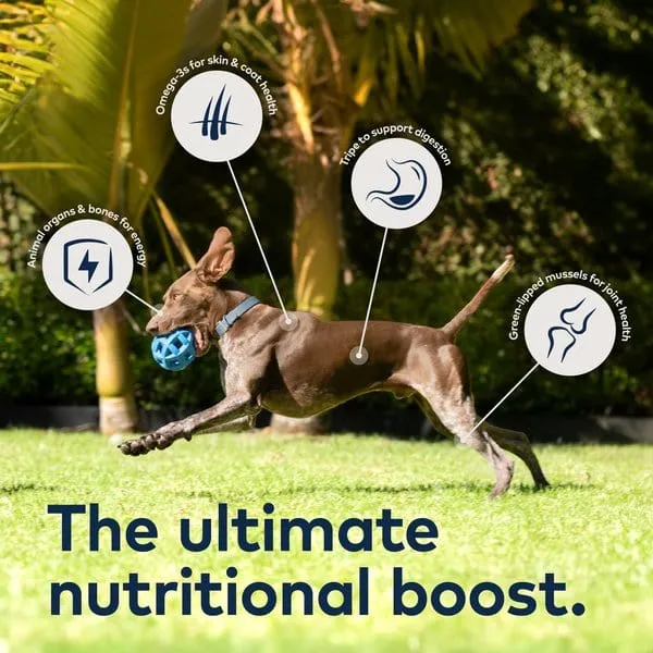 ZIWI Peak Grain Free Free-Range Chicken Recipe Canned Dog Food
