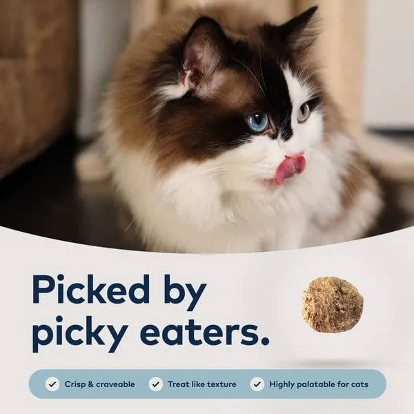 ZIWI Peak Steam & Dried Beef with Southern Blue Whiting Recipe Air-Dried Cat Food