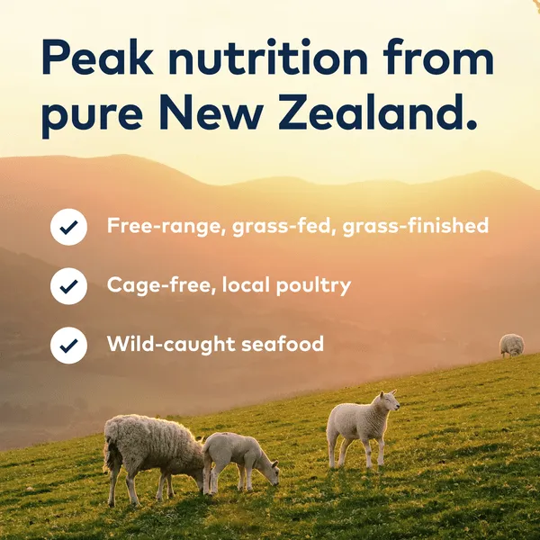 ZIWI Peak Steam & Dried Chicken with Orchard Fruits Recipe Air-Dried Dog Food