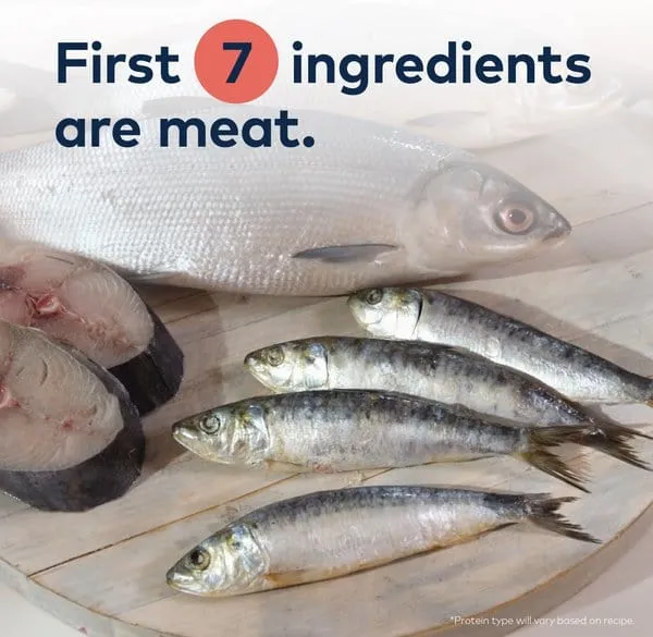 ZIWI Peak Steam & Dried Wild South Pacific Fish Recipe Air-Dried Cat Food